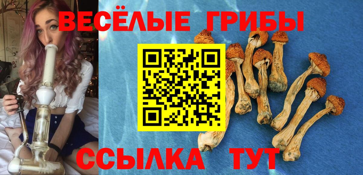 Галлюциногенные грибы GOLDEN TEACHER  Вход с VPN  Рубцовск 